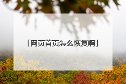 网页首页怎么恢复啊