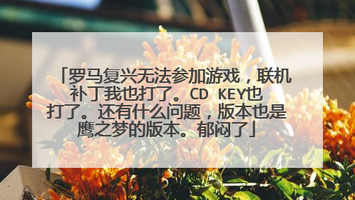 罗马复兴无法参加游戏,联机补丁我也打了。CD KEY也打了。还有什么问题,版本也是鹰之梦的版本。郁闷了