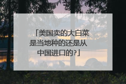美国卖的大白菜是当地种的还是从中国进口的?