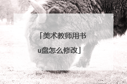 美术教师用书u盘怎么修改