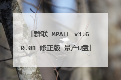 群联 MPALL v3.60.0B 修正版 量产U盘