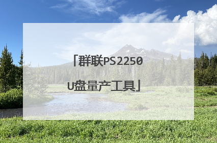 群联PS2250 U盘量产工具