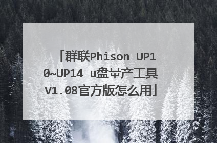 群联Phison UP10~UP14 u盘量产工具V1.08官方版怎么用