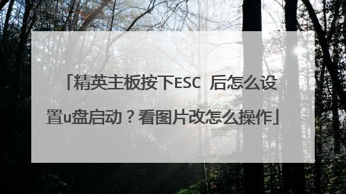 精英主板按下ESC 后怎么设置u盘启动?看图片改怎么操作