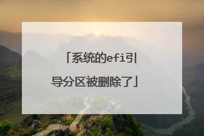 系统的efi引导分区被删除了