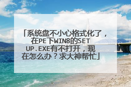系统盘不小心格式化了,在PE下WIN8的SETUP.EXE有不打开,现在怎么办?求大神帮忙
