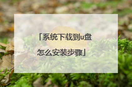 系统下载到u盘怎么安装步骤