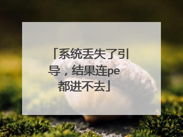 系统丢失了引导，结果连pe都进不去