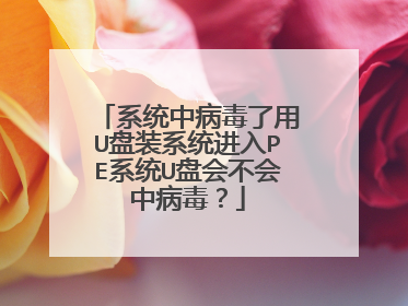 系统中病毒了用U盘装系统进入PE系统U盘会不会中病毒?