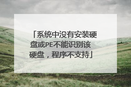 系统中没有安装硬盘或PE不能识别该硬盘，程序不支持