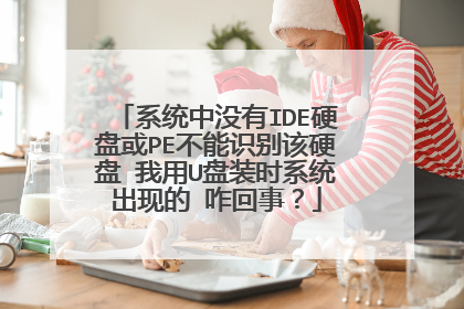 系统中没有IDE硬盘或PE不能识别该硬盘 我用U盘装时系统出现的 咋回事？