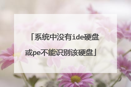 系统中没有ide硬盘或pe不能识别该硬盘