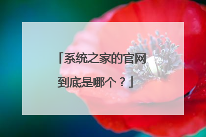 系统之家的官网到底是哪个?