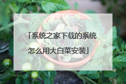 系统之家下载的系统怎么用大白菜安装