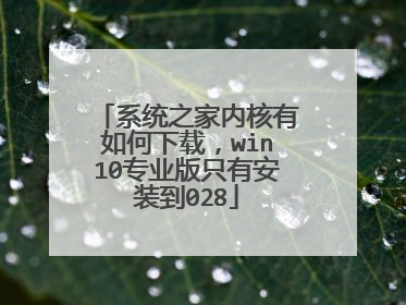 系统之家内核有如何下载,win10专业版只有安装到028