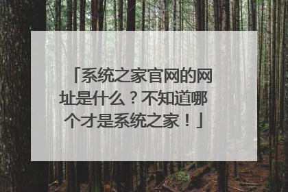 系统之家官网的网址是什么？不知道哪个才是系统之家！