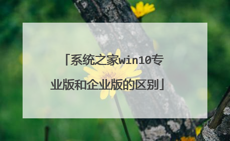 系统之家win10专业版和企业版的区别