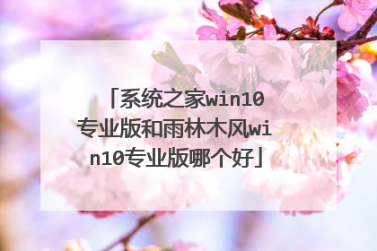 系统之家win10专业版和雨林木风win10专业版哪个好