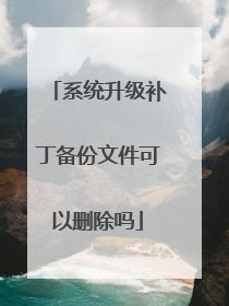 系统升级补丁备份文件可以删除吗