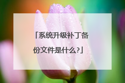 系统升级补丁备份文件是什么?