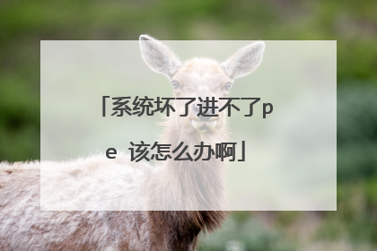 系统坏了进不了pe 该怎么办啊