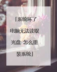 系统坏了 电脑无法读取光盘 怎么重装系统
