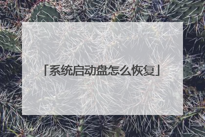 系统启动盘怎么恢复