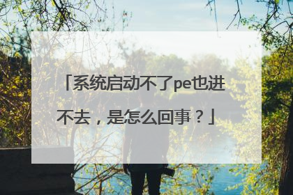系统启动不了pe也进不去，是怎么回事？