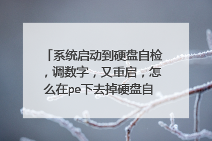 系统启动到硬盘自检,调数字,又重启,怎么在pe下去掉硬盘自检。高人帮忙