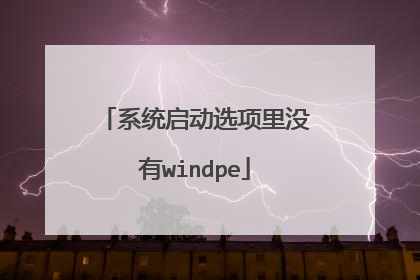 系统启动选项里没有windpe