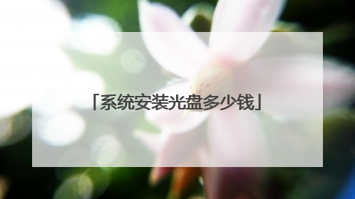 系统安装光盘多少钱