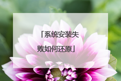系统安装失败如何还原
