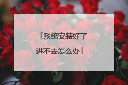 系统安装好了进不去怎么办