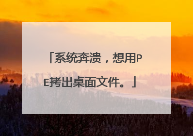 系统奔溃,想用PE拷出桌面文件。