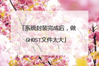 系统封装完成后，做GHOST文件太大
