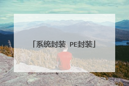 系统封装 PE封装