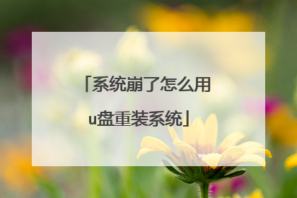 系统崩了怎么用u盘重装系统