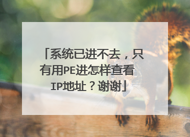 系统已进不去,只有用PE进怎样查看IP地址?谢谢
