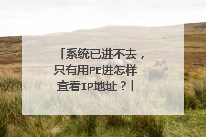 系统已进不去,只有用PE进怎样查看IP地址?