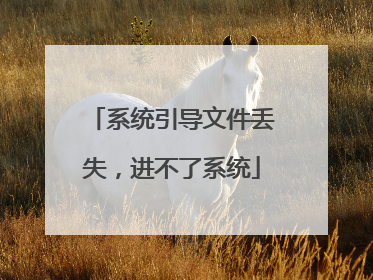 系统引导文件丢失，进不了系统