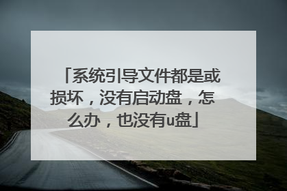 系统引导文件都是或损坏，没有启动盘，怎么办，也没有u盘