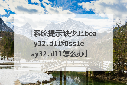 系统提示缺少libeay32.dll和ssleay32.dll怎么办