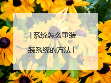 系统怎么重装 装系统的方法