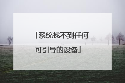 系统找不到任何可引导的设备