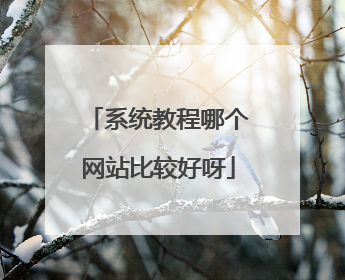 系统教程哪个网站比较好呀