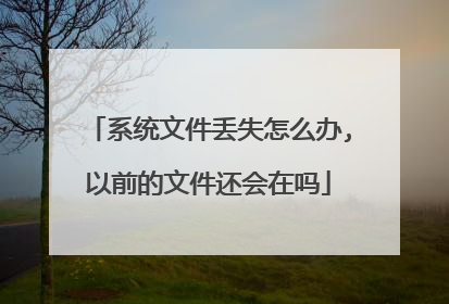系统文件丢失怎么办,以前的文件还会在吗