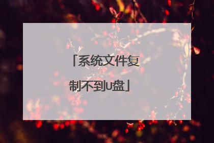 系统文件复制不到U盘