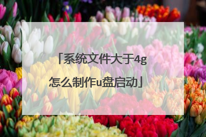 系统文件大于4g怎么制作u盘启动