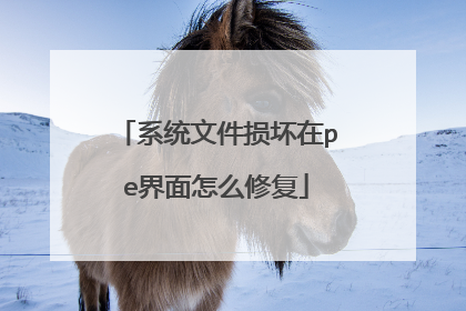系统文件损坏在pe界面怎么修复