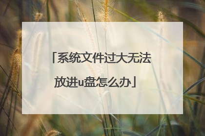 系统文件过大无法放进u盘怎么办